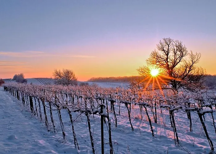 Pastis - Staffless With Self Check-in 3*